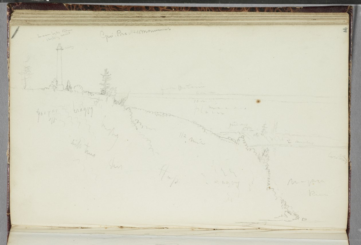 Pomnik generała Brocka, Queenston, Ontario, 1829 (grafitowy ołówek na papierze tkanym w kolorze złamanej bieli) autorstwa Thomas Cole