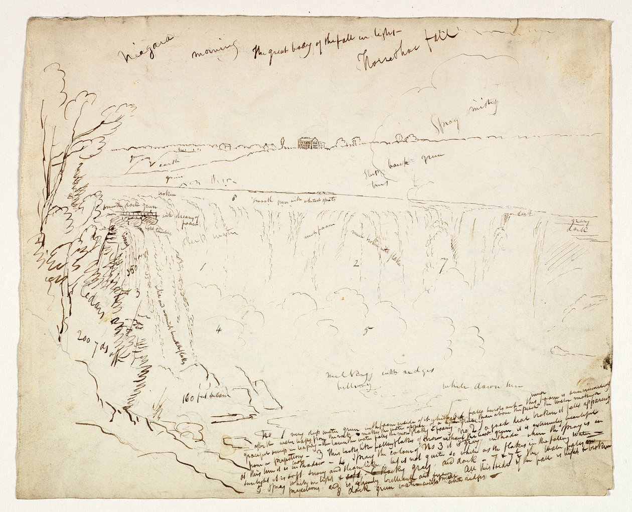 Horseshoe Falls, Niagara, Morning, c.1829 (długopis i brązowy tusz na graficie na białawym papierze tkanym) autorstwa Thomas Cole