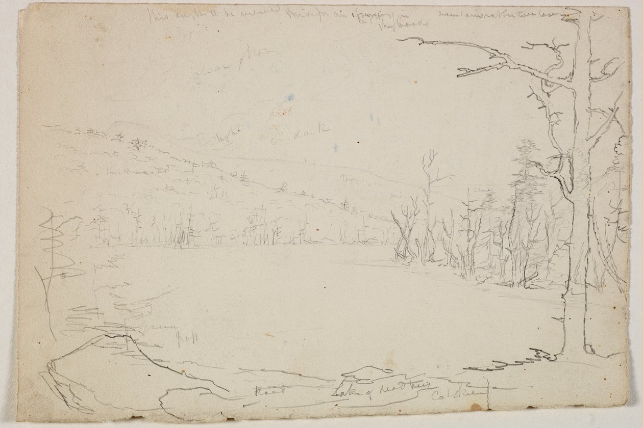 Jezioro Martwych Drzew, Catskill, 1825 (grafitowy ołówek na papierze w kolorze złamanej bieli) autorstwa Thomas Cole
