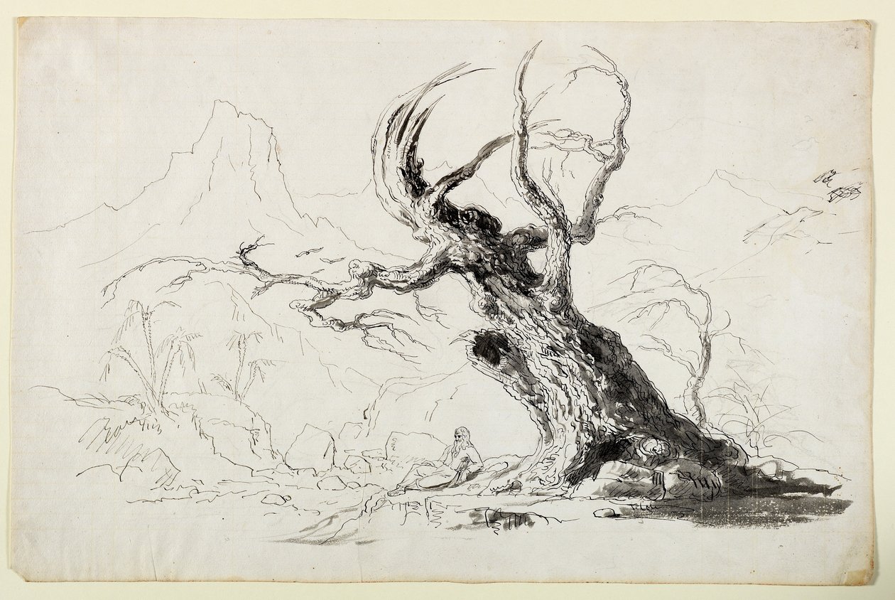 Duże sękate drzewo z brodatym mężczyzną siedzącym poniżej (pióro i atrament na ołówku na papierze) autorstwa Thomas Cole