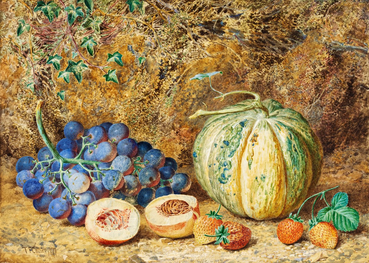 Winogrona i Truskawki, 1877 autorstwa Thomas Collier