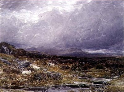 Na Siabod Flats, Północna Walia autorstwa Thomas Collier