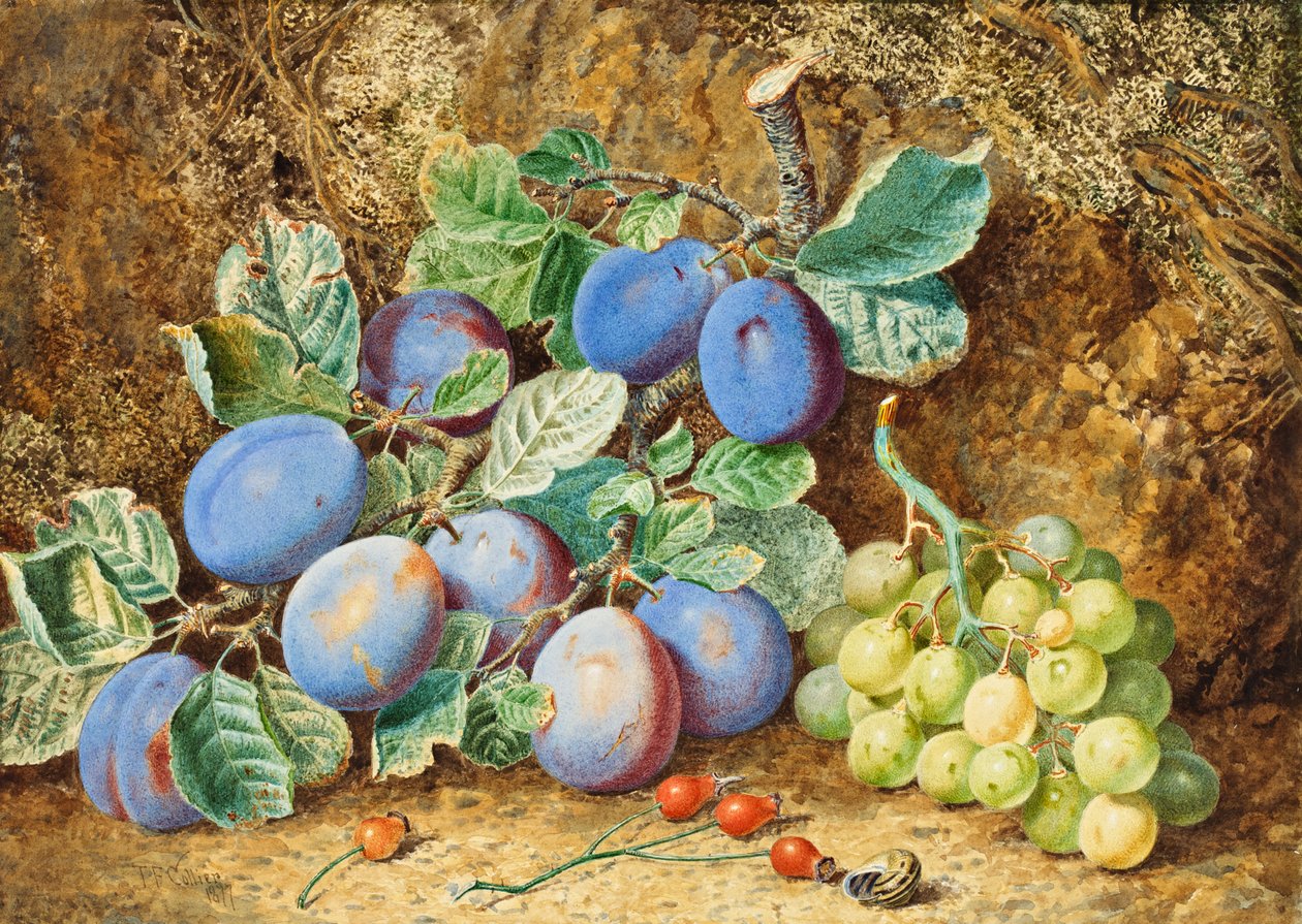 Śliwki i winogrona, 1877 autorstwa Thomas Collier