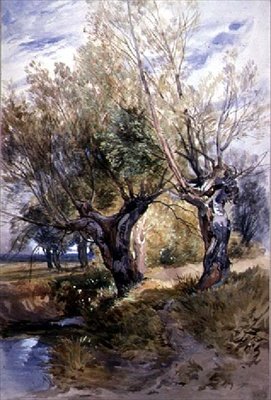 Pollardy w Windsor Meadows autorstwa Thomas Collier
