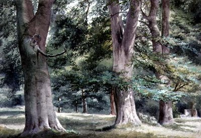 Badanie buków autorstwa Thomas Collier