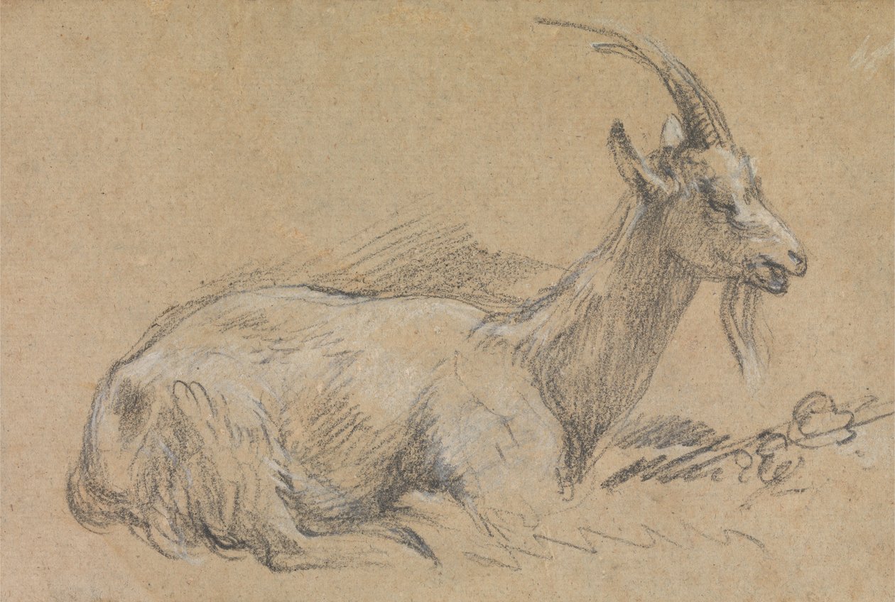 Studium kozy autorstwa Thomas Gainsborough