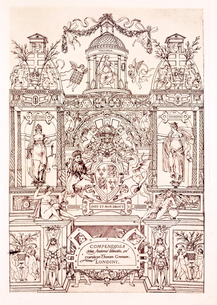 Frontispis do Kompendium anatomii, 1545 autorstwa Thomas Geminus