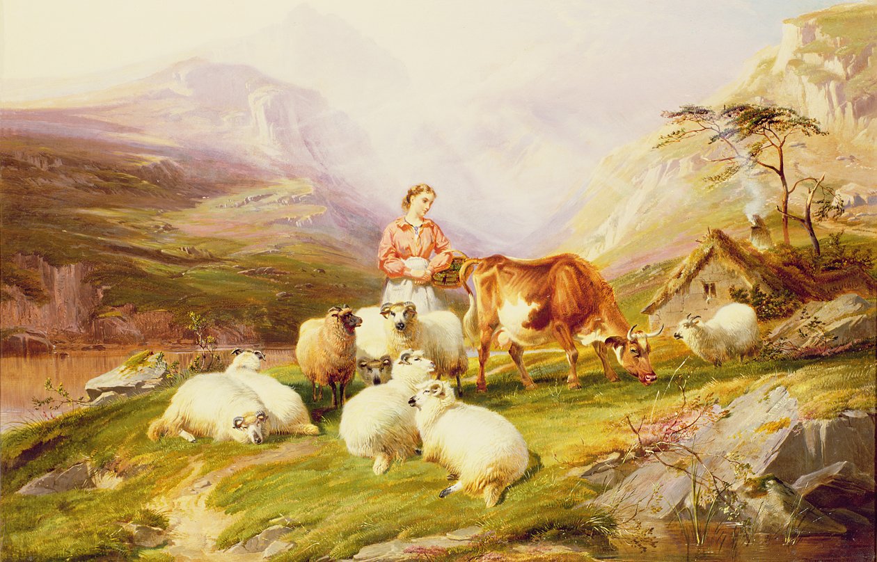 Krowa i owce na pastwisku górskim autorstwa Thomas George Cooper