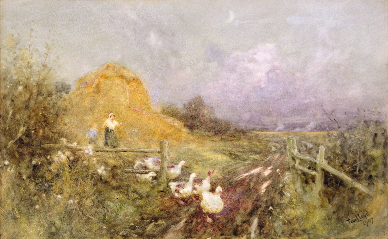 Prowadzenie gęsi, wczesny wieczór, 1907 autorstwa Thomas James Lloyd