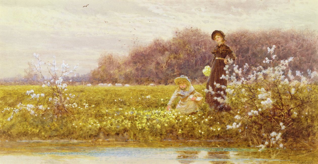 Zbieranie pierwiosnków, 1896 autorstwa Thomas James Lloyd