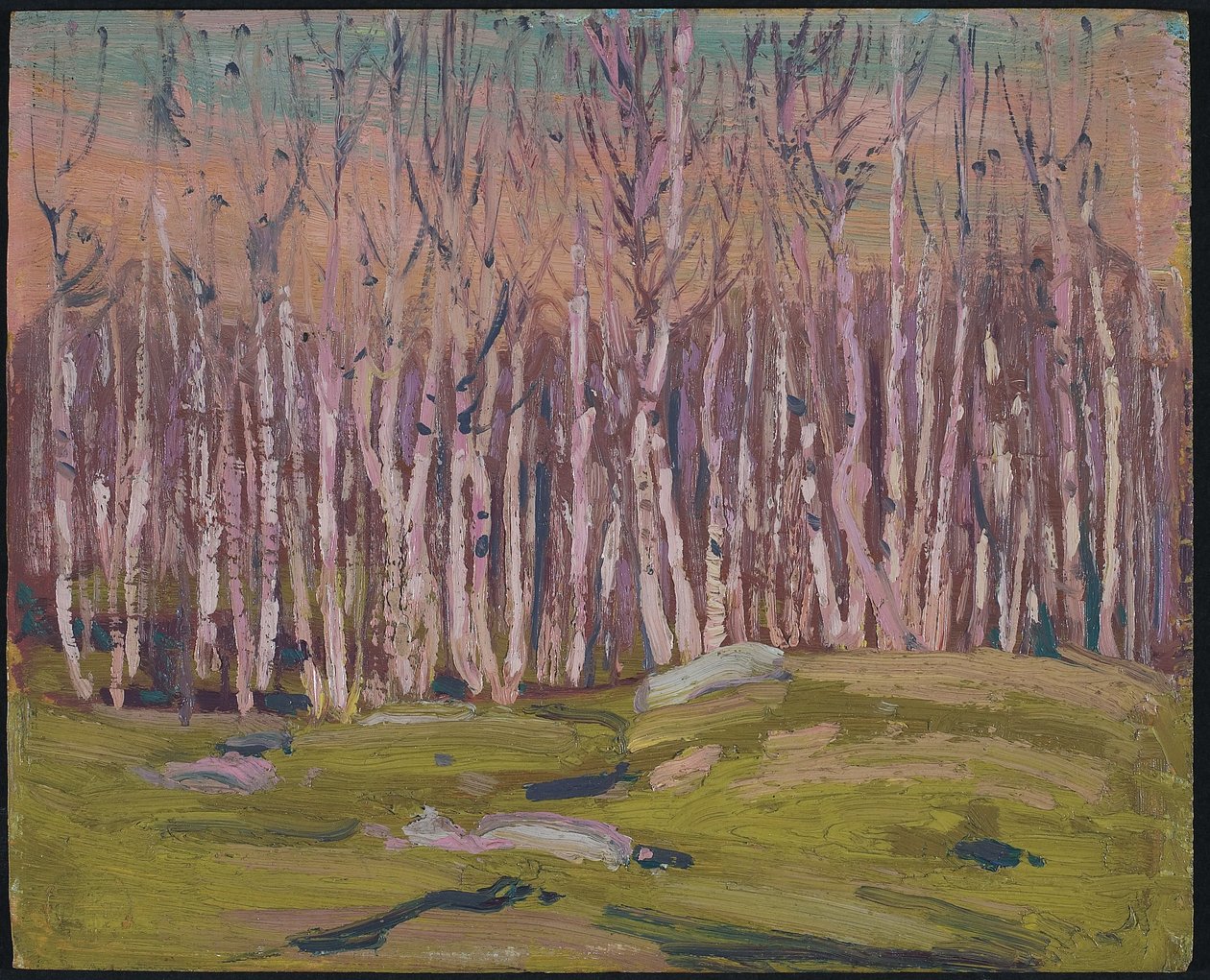 Srebrne brzozy, ok. 1915 (olej na płycie drewnopodobnej) autorstwa Tom Thomson