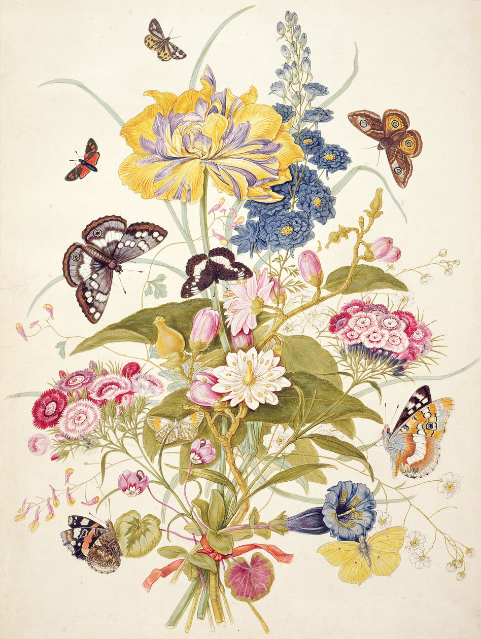PD.912-1973 Martwa natura z kwiatów, w tym papuga tulipan, ostróżka, słodka william, goryczka i cyklamen, 1769 autorstwa Thomas Robins