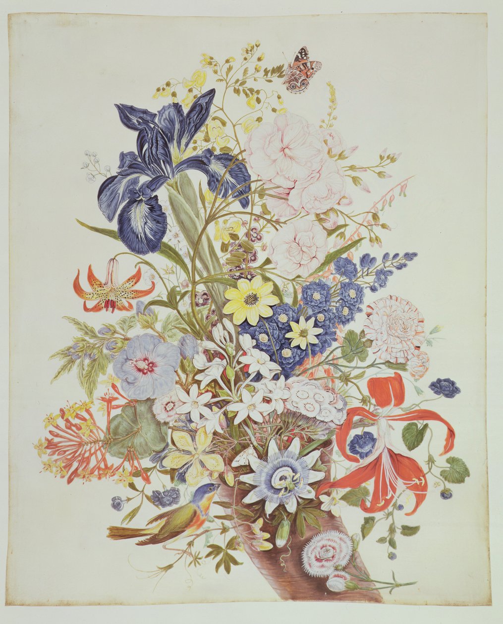 PD.915-1973 Mieszane kwiaty w rogu obfitości, ok. 1768 (wc i gwasz na welinie) autorstwa Thomas Robins