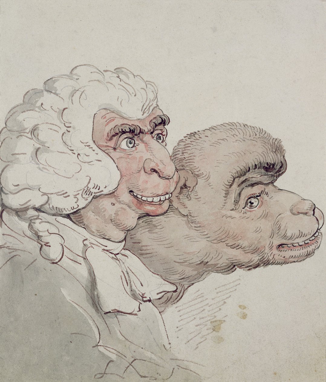 Karykatura sędziego (wc) autorstwa Thomas Rowlandson