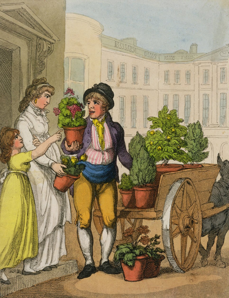 Cries of London: The Garden Pot Seller, 1799 (akwatinta kolorowa) autorstwa Thomas Rowlandson