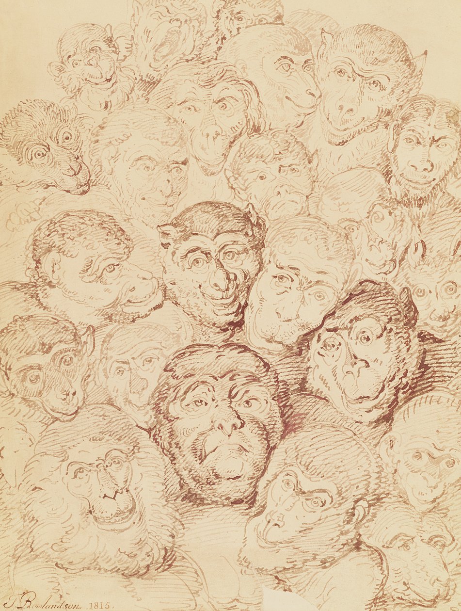 Twarze małp, 1815 autorstwa Thomas Rowlandson