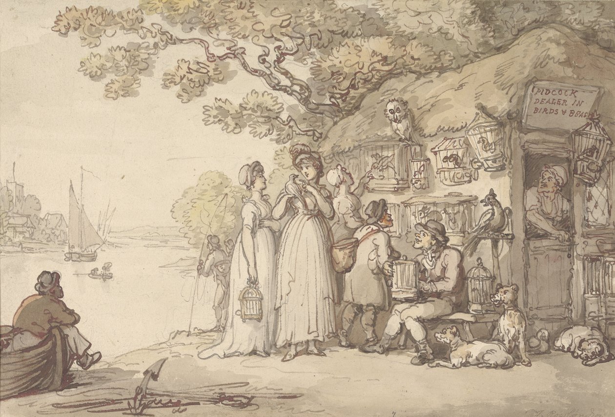 Pidcock, sprzedawca ptaków i zwierząt (pióro i atrament oraz toaleta na papierze) autorstwa Thomas Rowlandson
