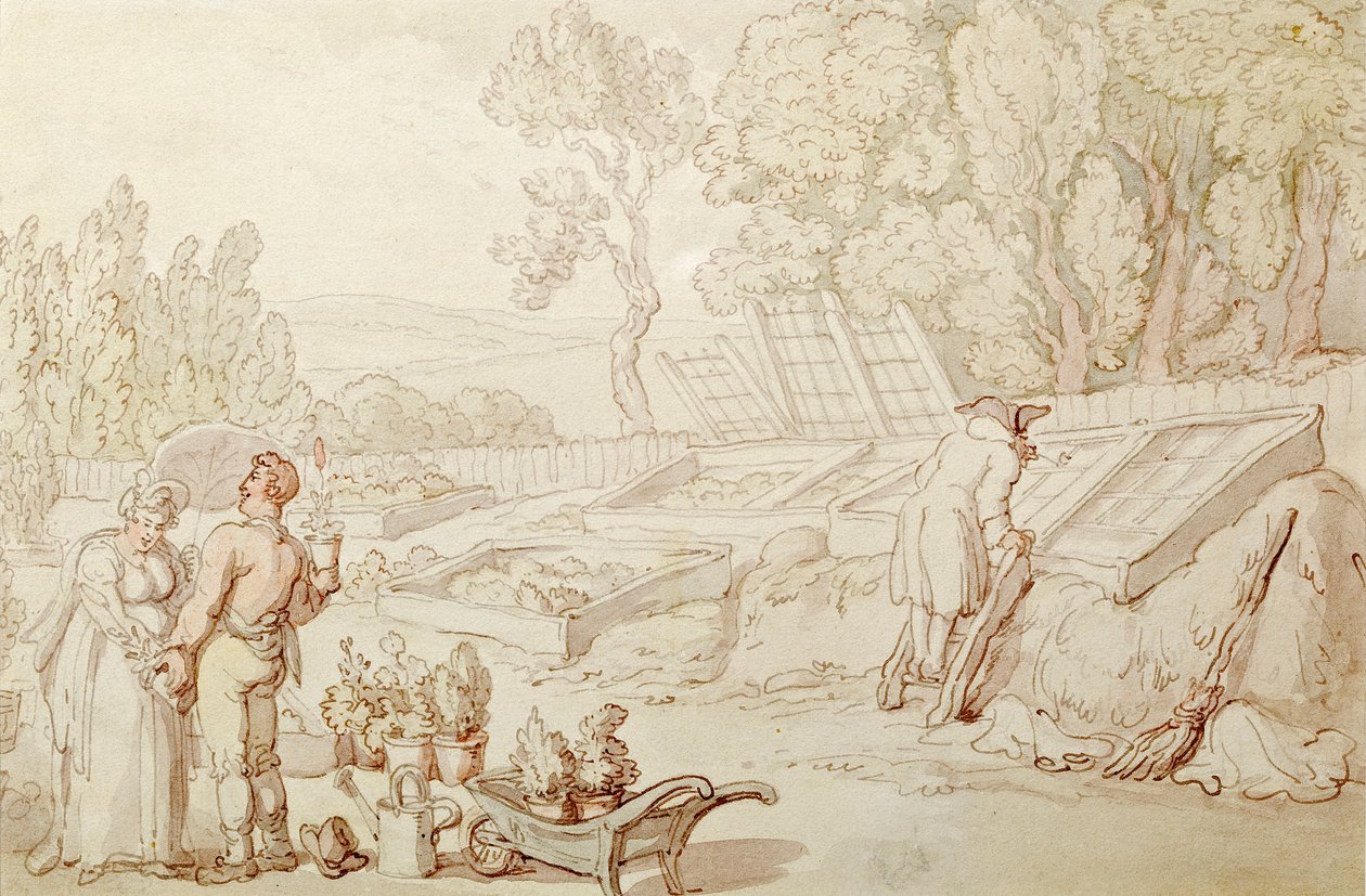 Miłosny Ogrodnik autorstwa Thomas Rowlandson