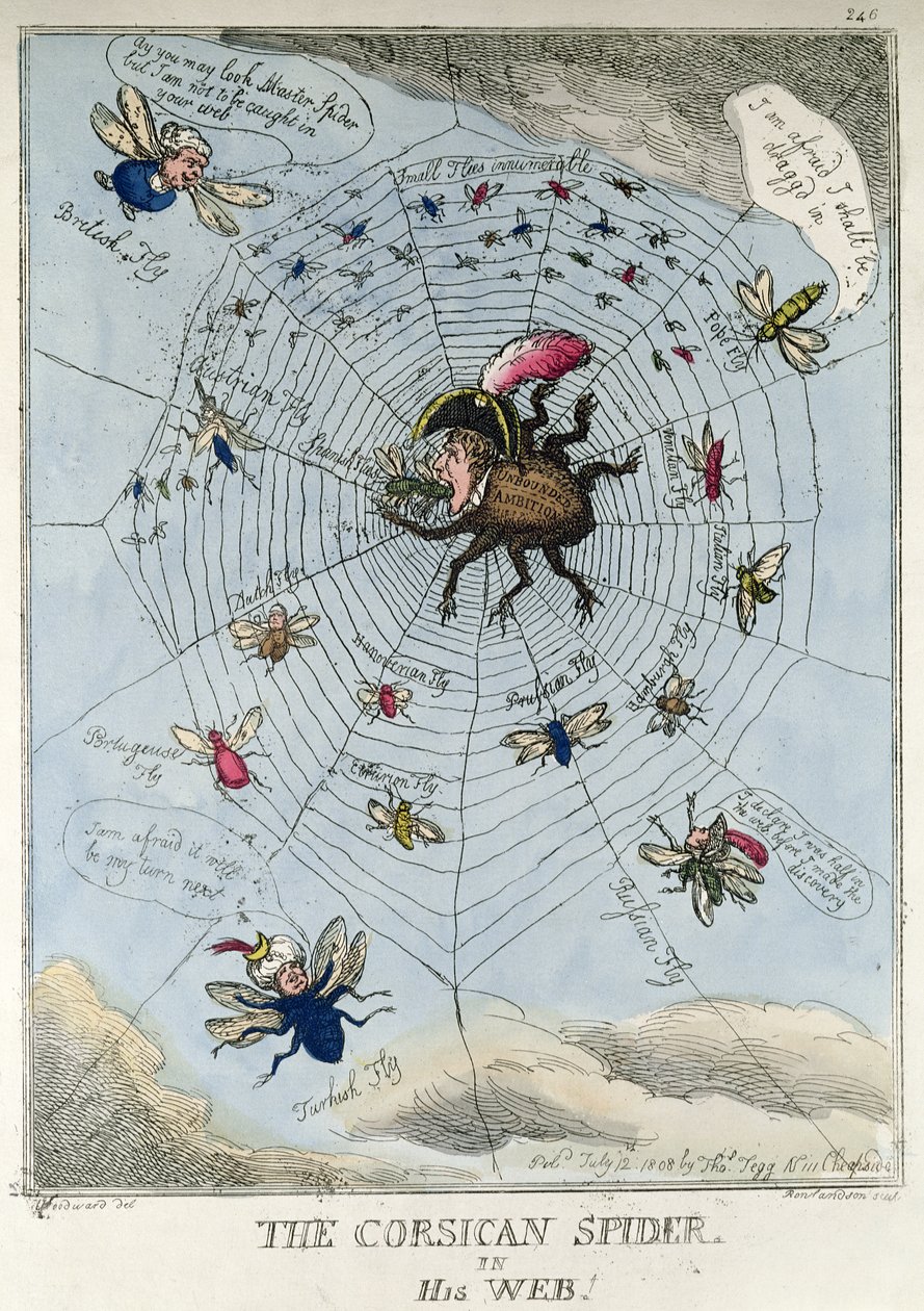 Korsykański Pająk w swojej sieci autorstwa Thomas Rowlandson