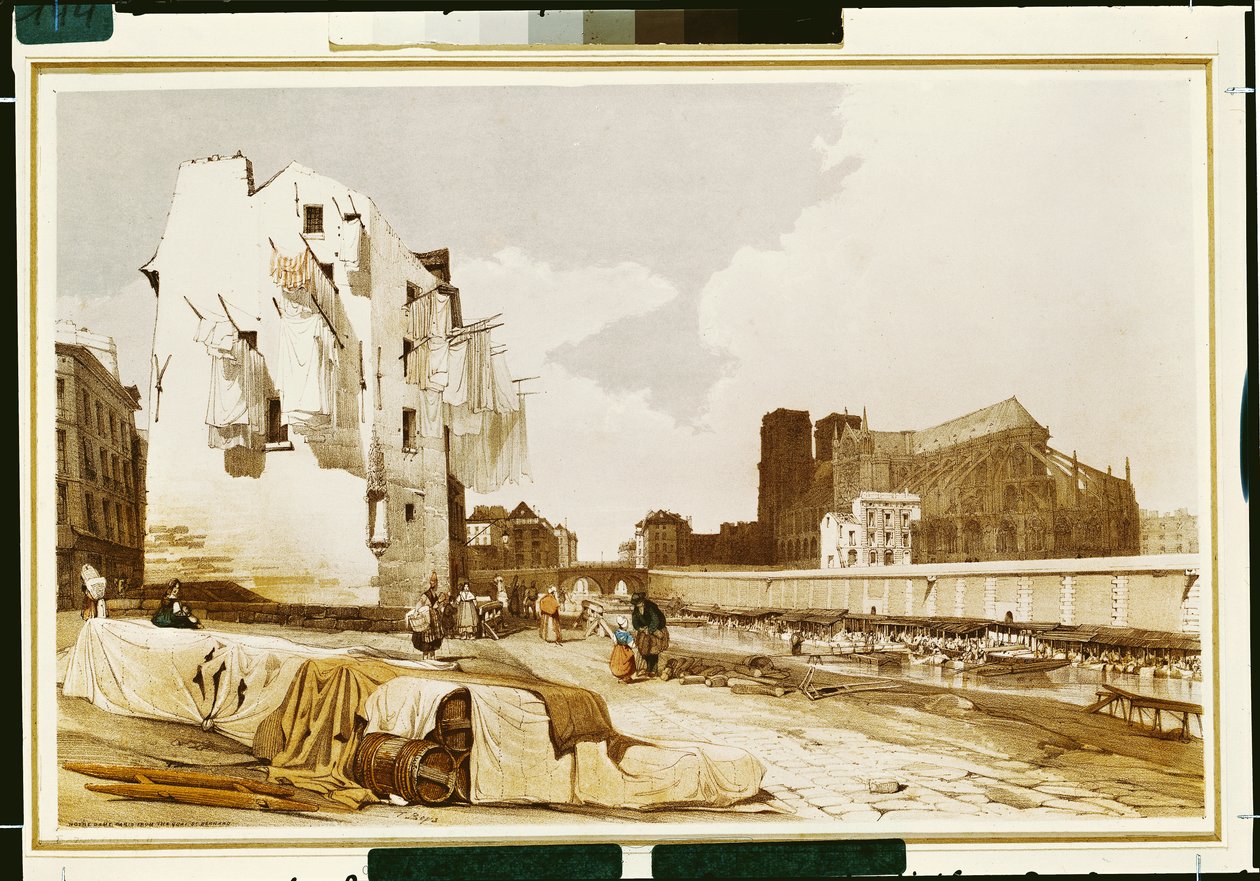 Notre Dame z Quai St. Bernard autorstwa Thomas Shotter Boys
