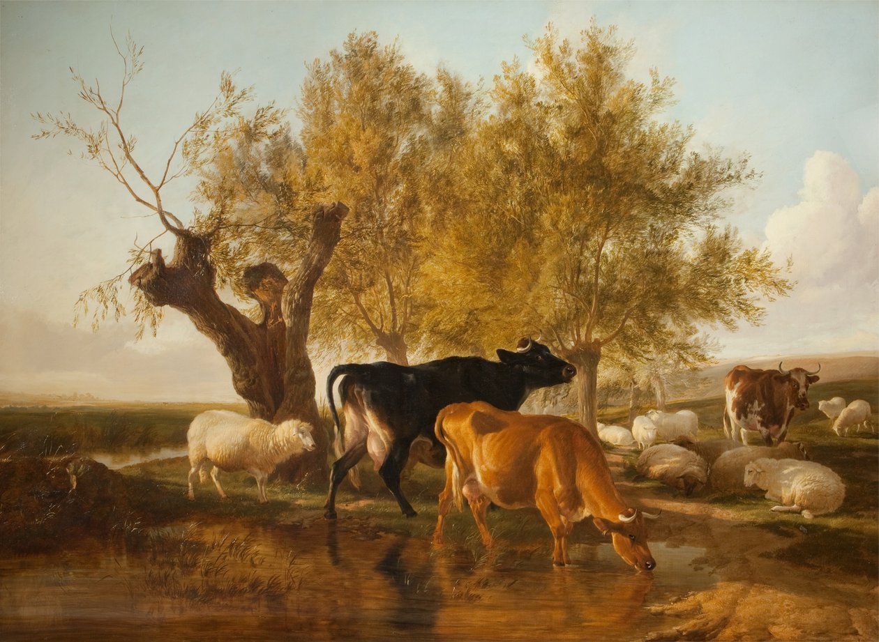 Canterbury Meadows, wieczór autorstwa Thomas Sidney Cooper
