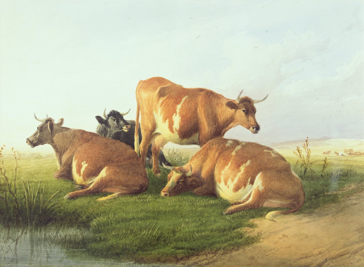 Bydło w krajobrazie (wc na papierze) autorstwa Thomas Sidney Cooper