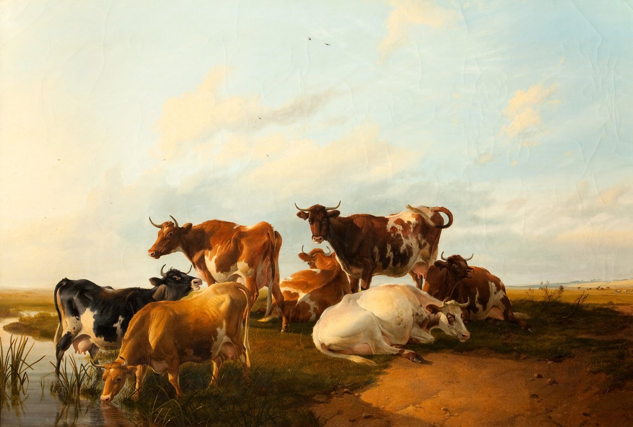 Wieczór na łąkach, 1871 autorstwa Thomas Sidney Cooper