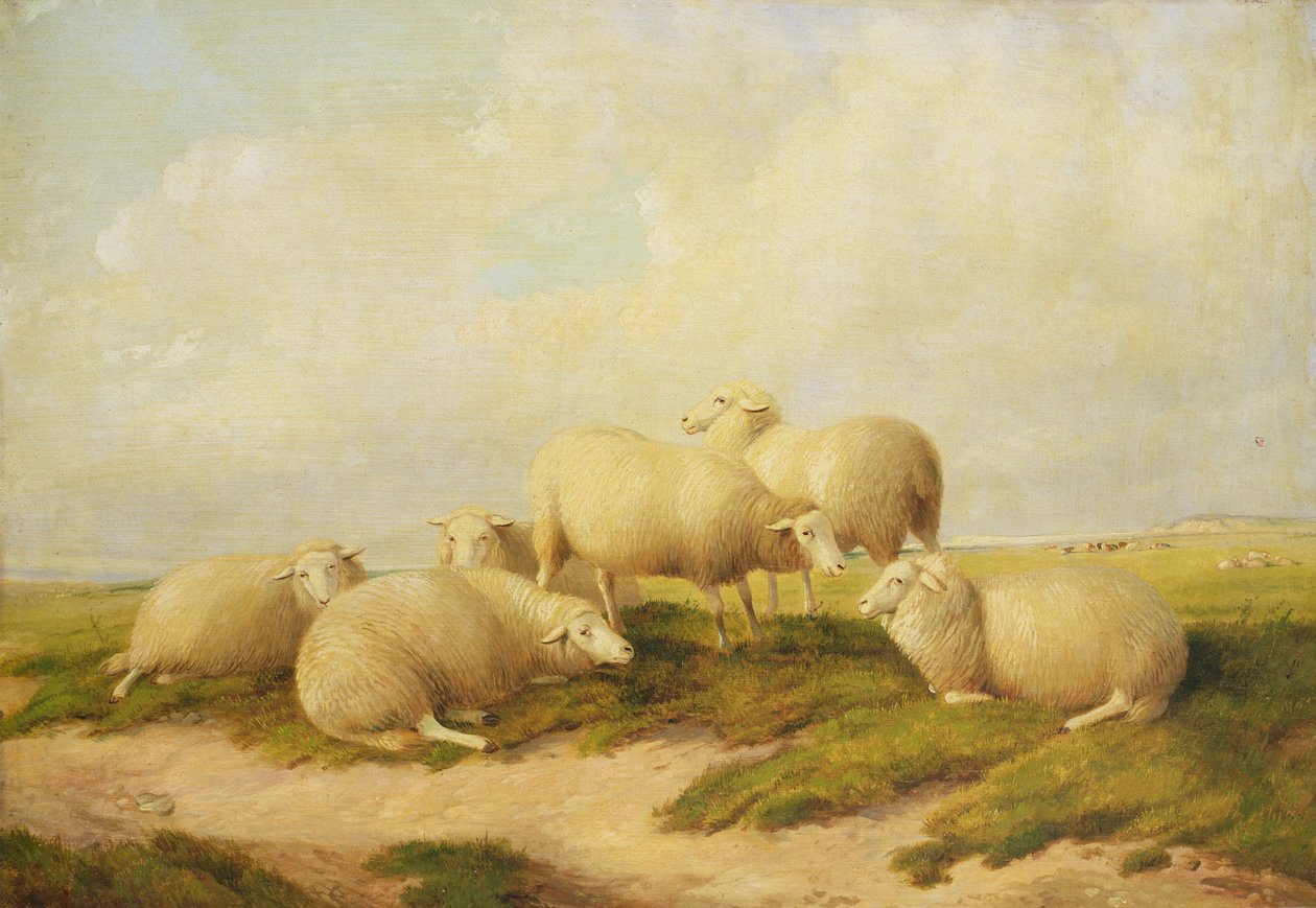 Owce autorstwa Thomas Sidney Cooper