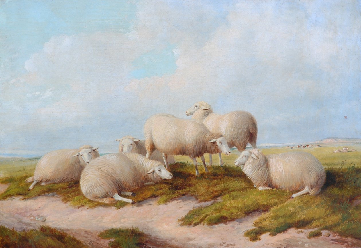 Owce autorstwa Thomas Sidney Cooper