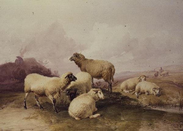 Owce w krajobrazie, 1844 autorstwa Thomas Sidney Cooper