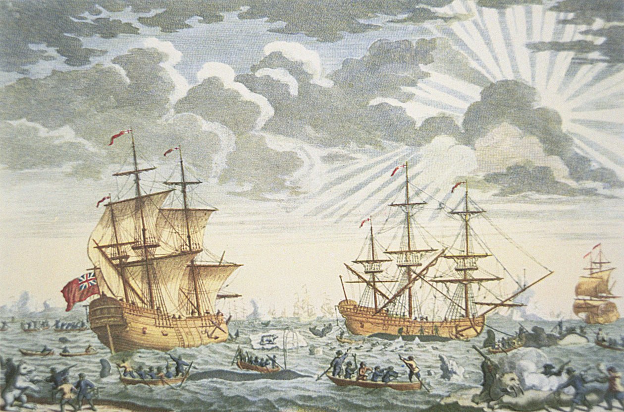 Grenlandia lub łowisko wielorybów, grawerowane przez E. Kirkalla, ok. 1720 (kolor lito) autorstwa Thomas (after) Baston