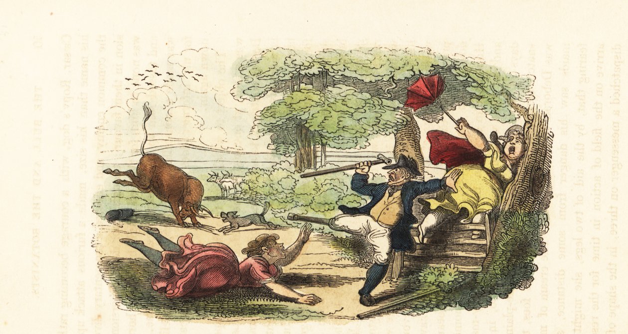 Rodzina botaników zaatakowana przez szarżującego byka na polu. ,1831 (grawerowanie) autorstwa Thomas (after) Rowlandson