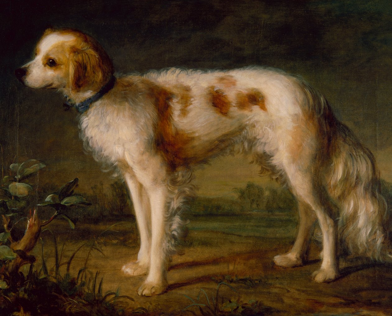 Spaniel w krajobrazie (olej) autorstwa Thomas (circle of) Gainsborough