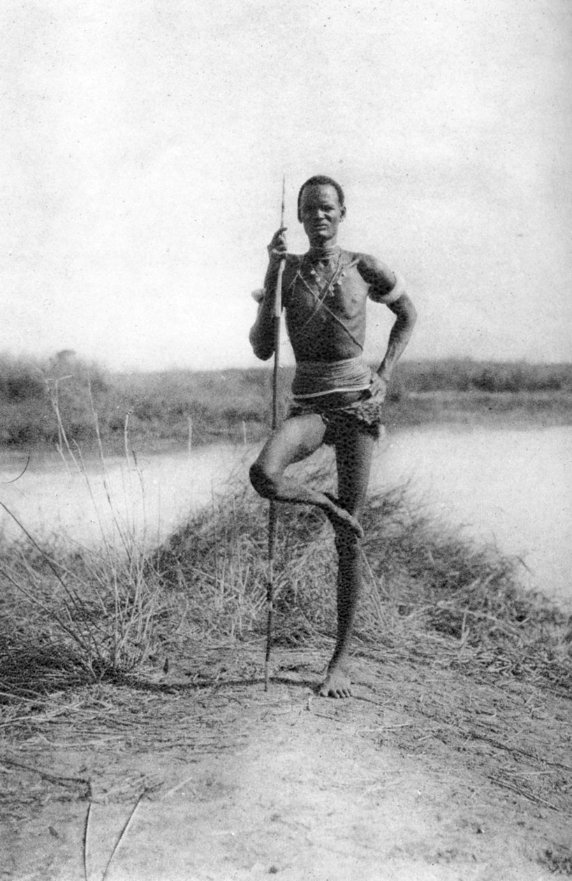 Charakterystyczny stosunek Dinków, Terrakekka do Aweila, Sudan, 1925 1927 autorstwa Thomas A. Glover