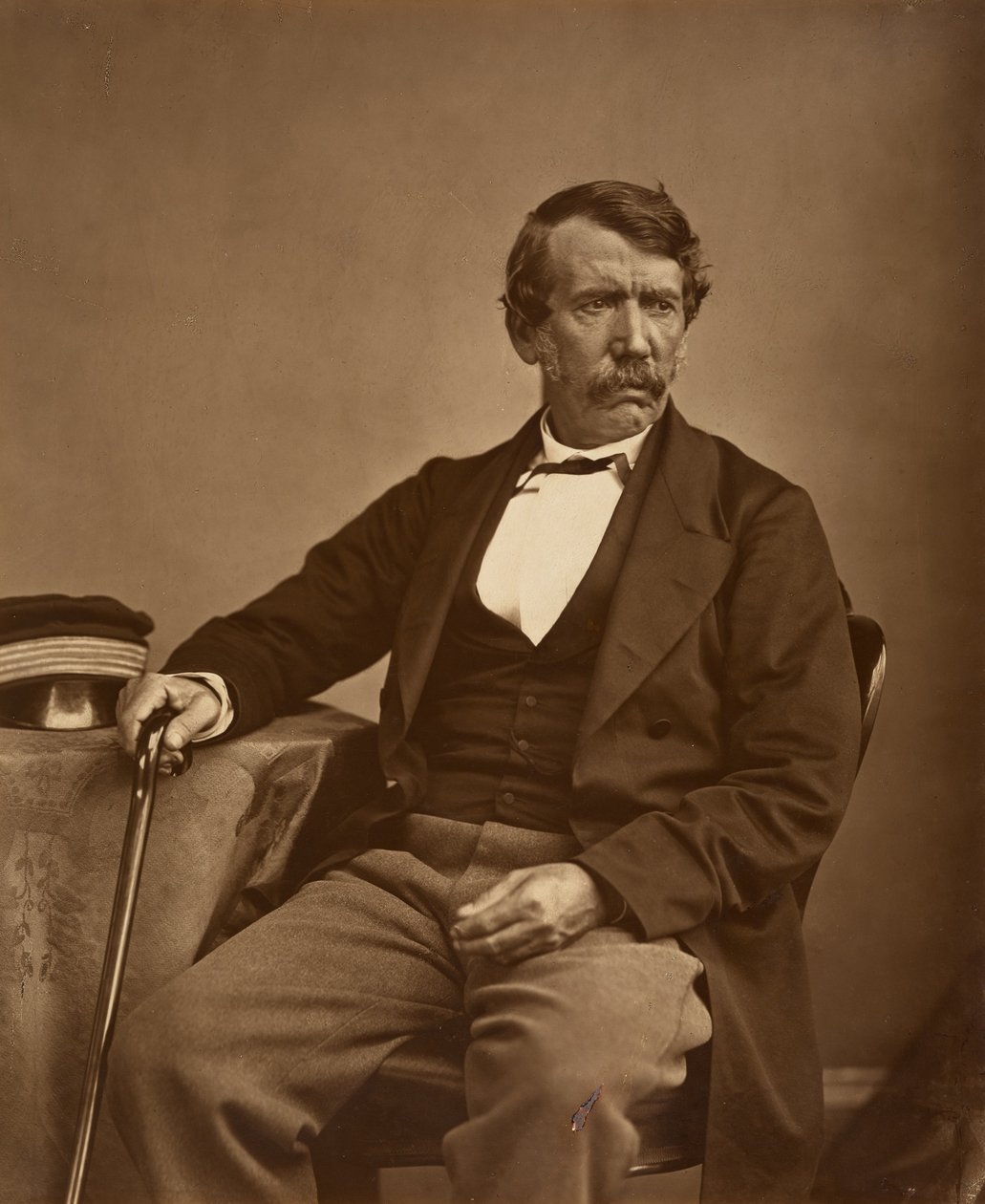 David Livingstone autorstwa Thomasa Annana - Oryginał autorstwa Thomas Annan