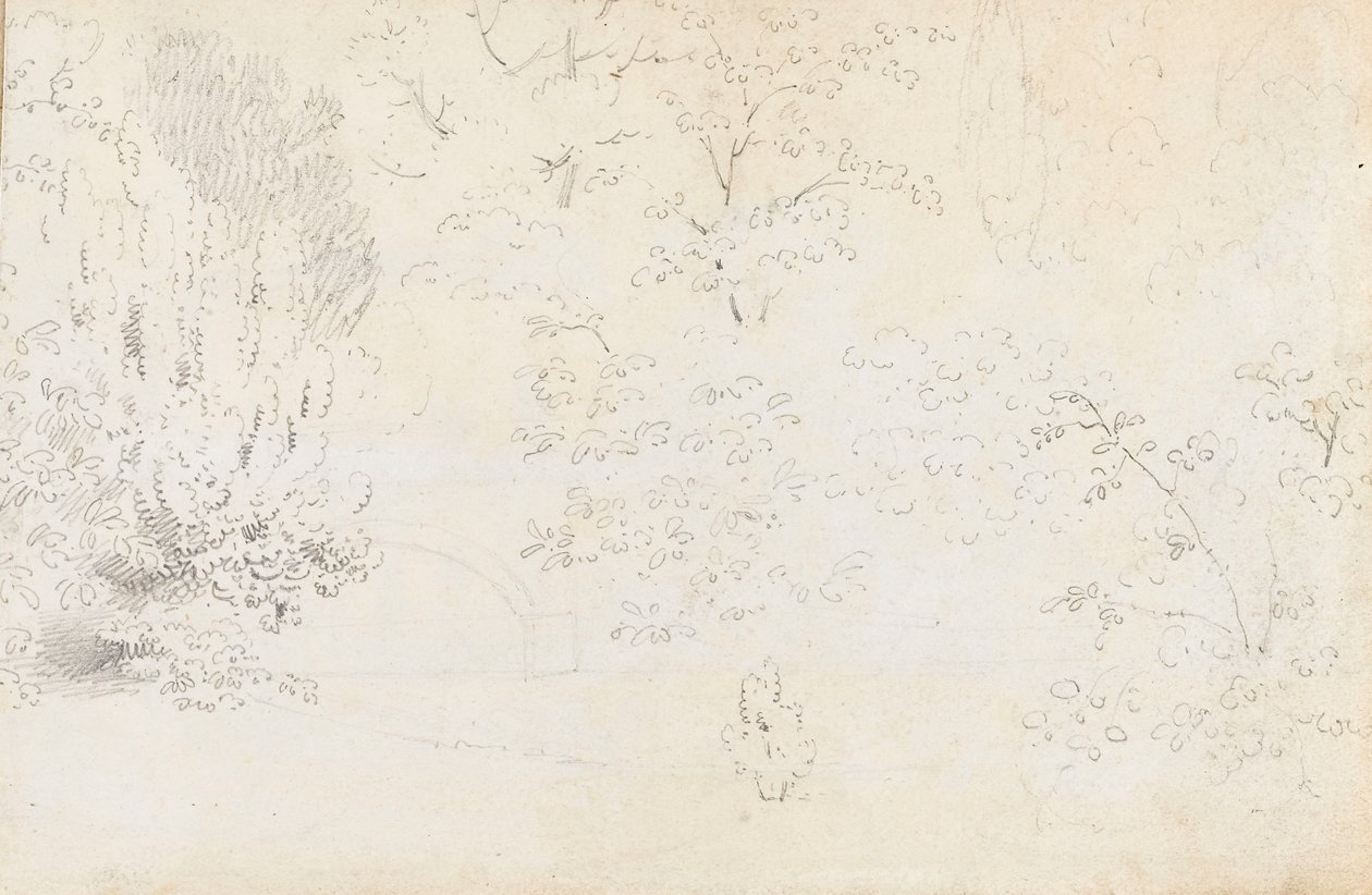 Grafitowe studium mostu i drzew od strony zachodniej (verso) autorstwa Thomas Baxter
