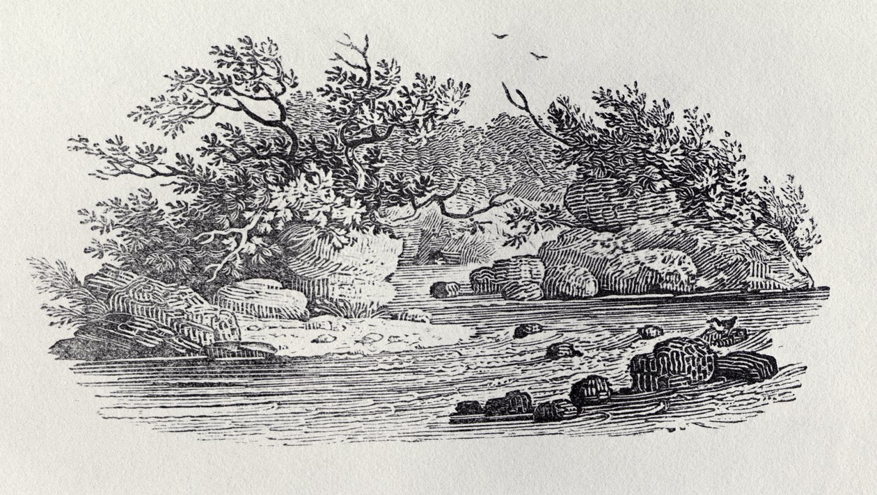 Zakręt w rzece z „Historia ptaków brytyjskich, tom 2: Ptaki wodne”, 1804 autorstwa Thomas Bewick