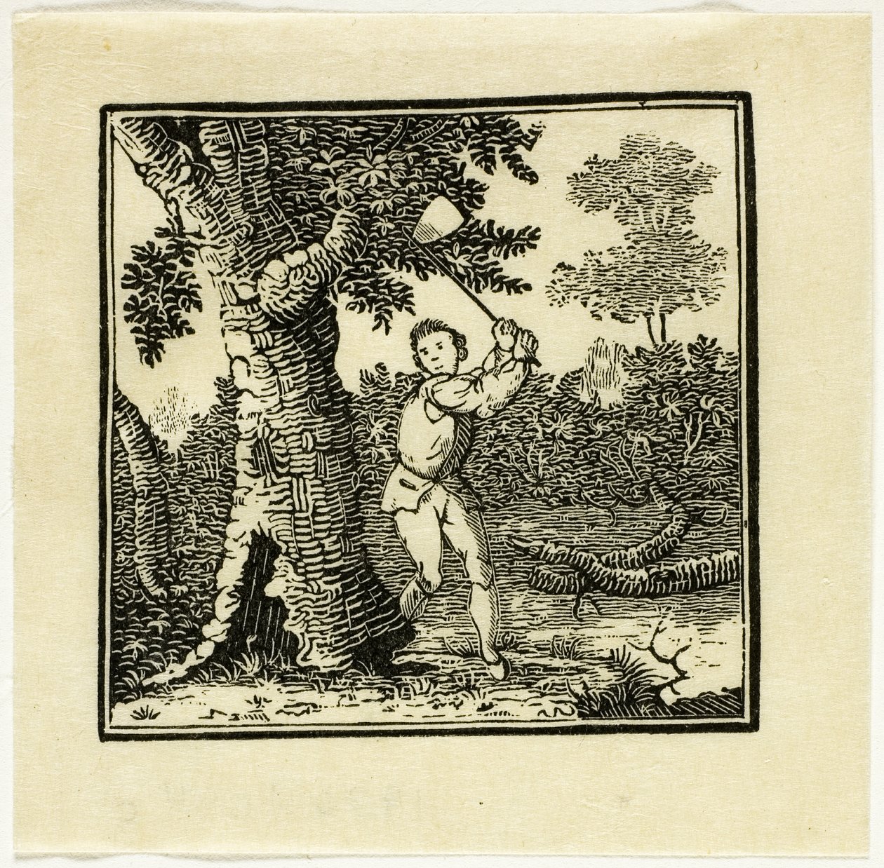Książka ilustracja autorstwa Thomas Bewick