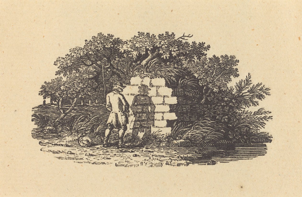 mężczyzna sika autorstwa Thomas Bewick