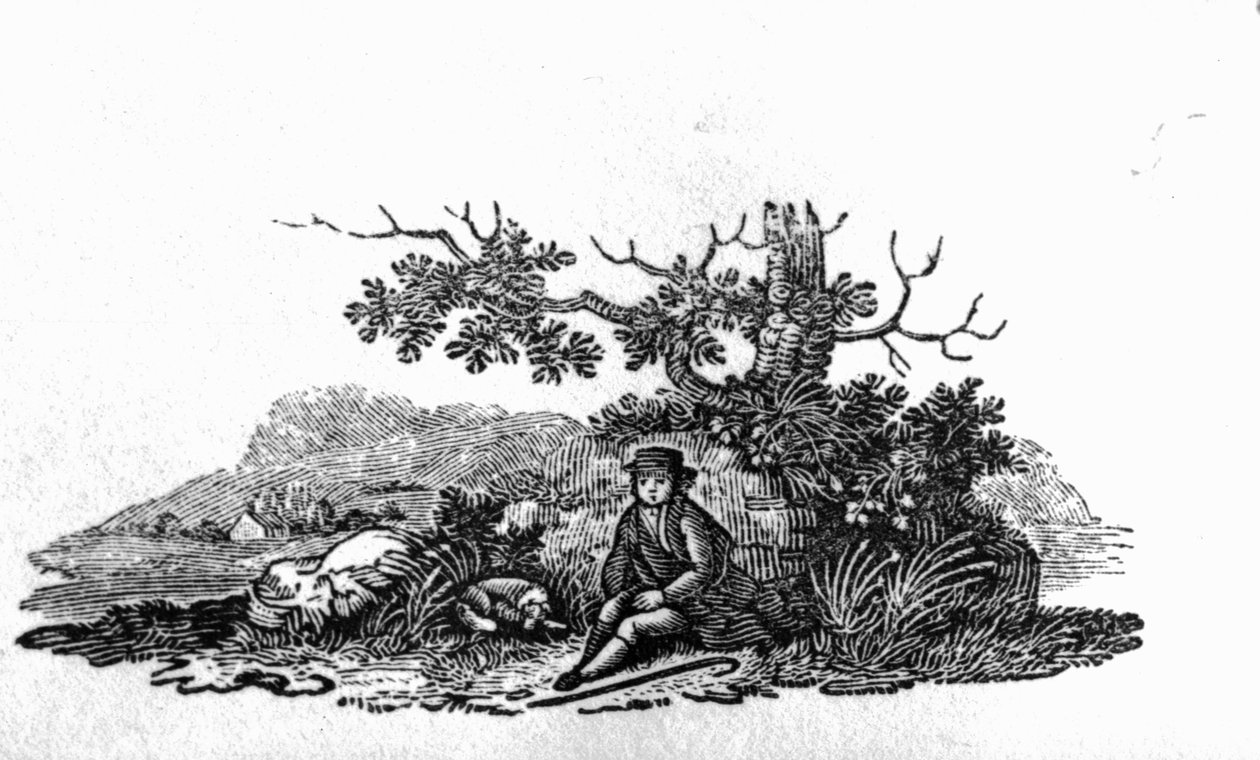 Mężczyzna siedzący przy karłowatym drzewie z „Historii brytyjskich ptaków i czworonogów” autorstwa Thomas Bewick