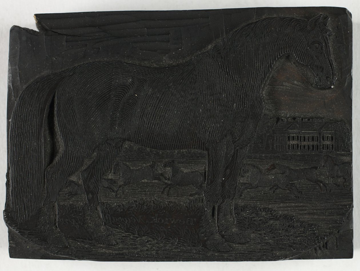 Woodblock do Czarnego Konia, z Ogólnej Historii Czworonogów autorstwa Thomas Bewick