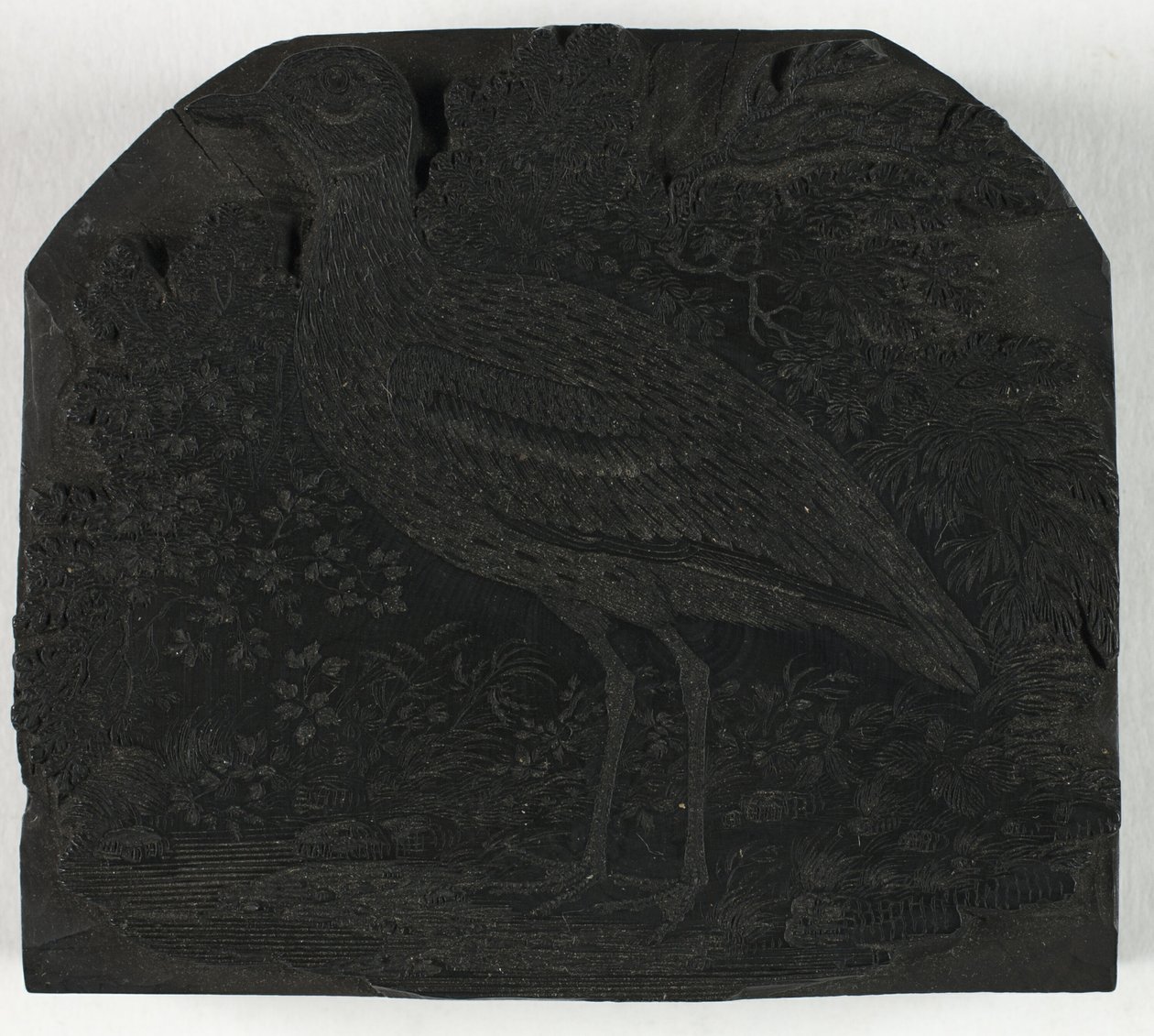 Woodblock do Wielkiej Sieweczki, z Historii ptaków brytyjskich autorstwa Thomas Bewick