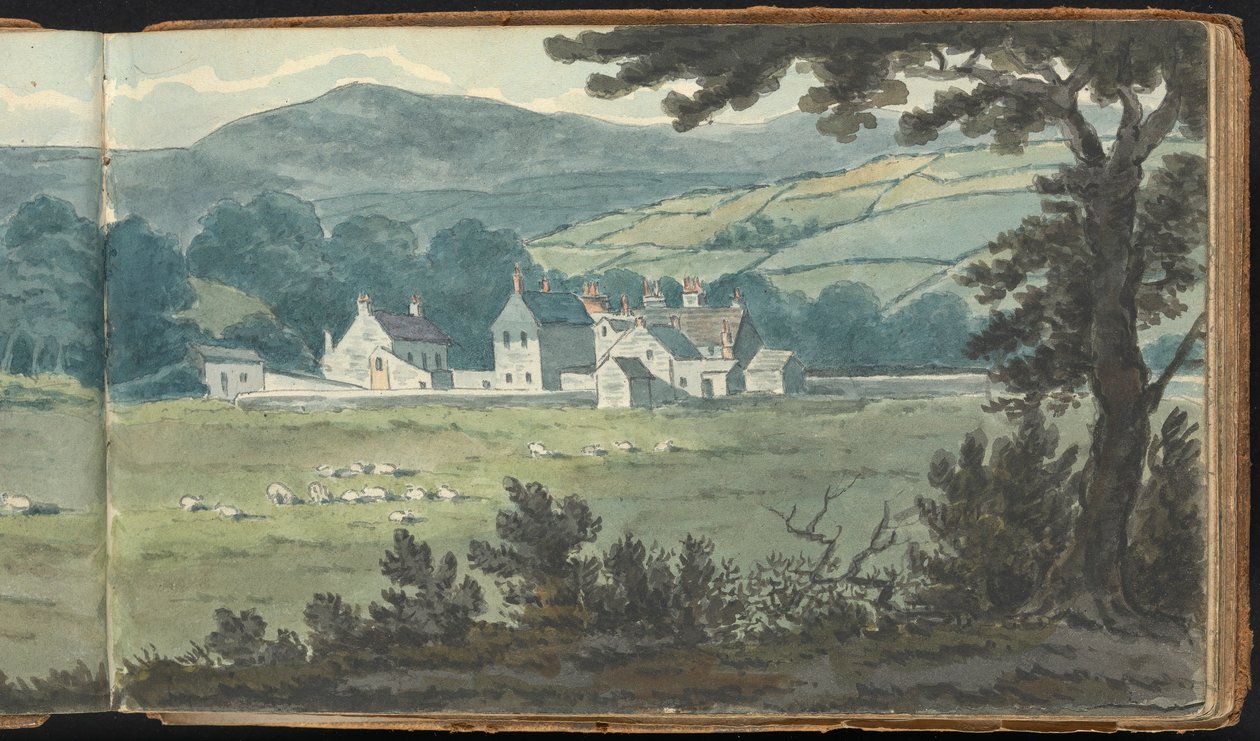 Album studiów krajobrazowych i figuralnych: Scena krajobrazu wiejskiego z owcami hodowlanymi i pasącymi się autorstwa Thomas Bradshaw