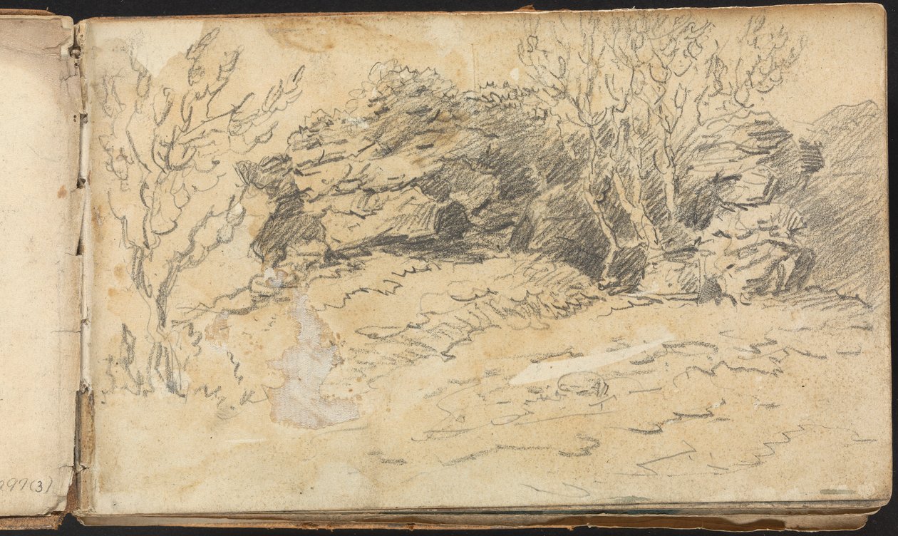 Album studiów krajobrazowych i figuralnych: Szkic drzew i skał autorstwa Thomas Bradshaw