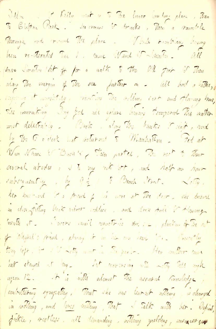 Pamiętniki Thomasa Butlera Gunna - Tom 5, strona 211, 5 czerwca 1853 r autorstwa Thomas Butler Gunn