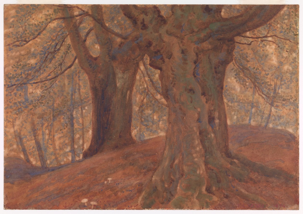 Burnham Beeches autorstwa Thomas Charles Farrer