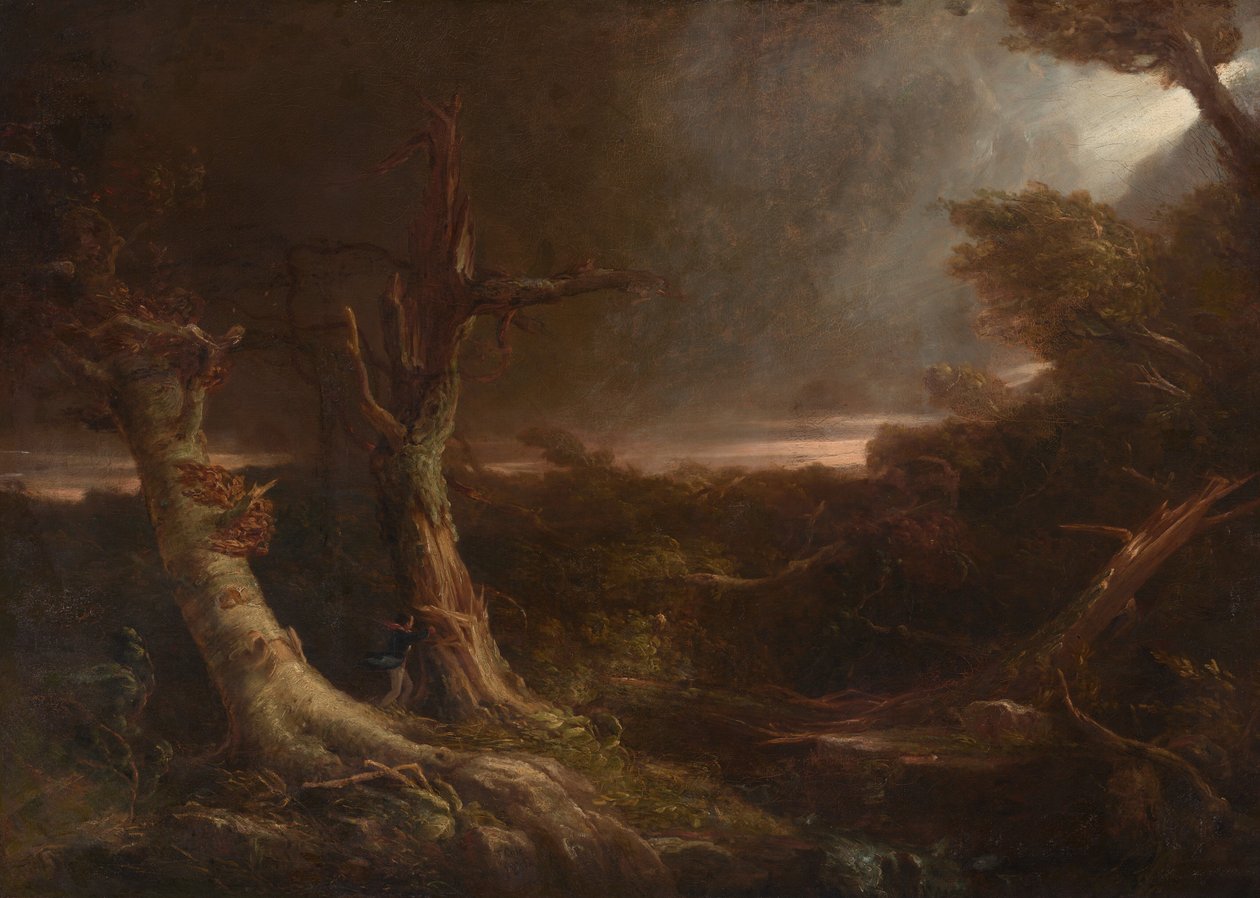 Tornado w amerykańskim lesie autorstwa Thomas Cole