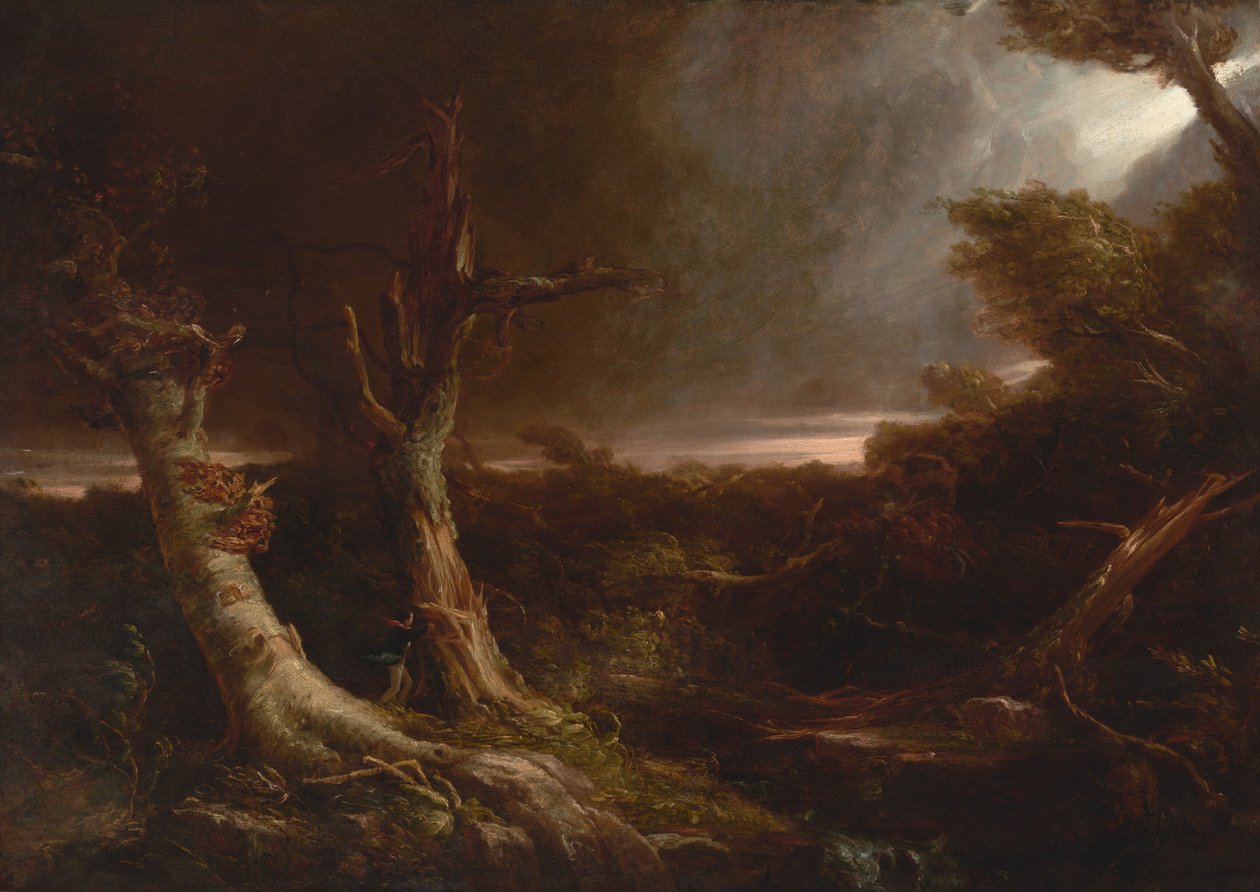 Tornado w amerykańskim lesie autorstwa Thomas Cole