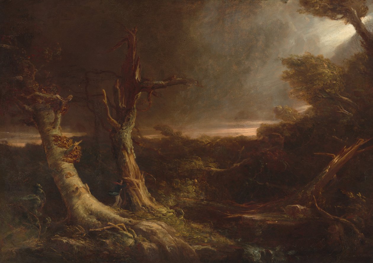 Tornado w amerykańskim lesie autorstwa Thomas Cole