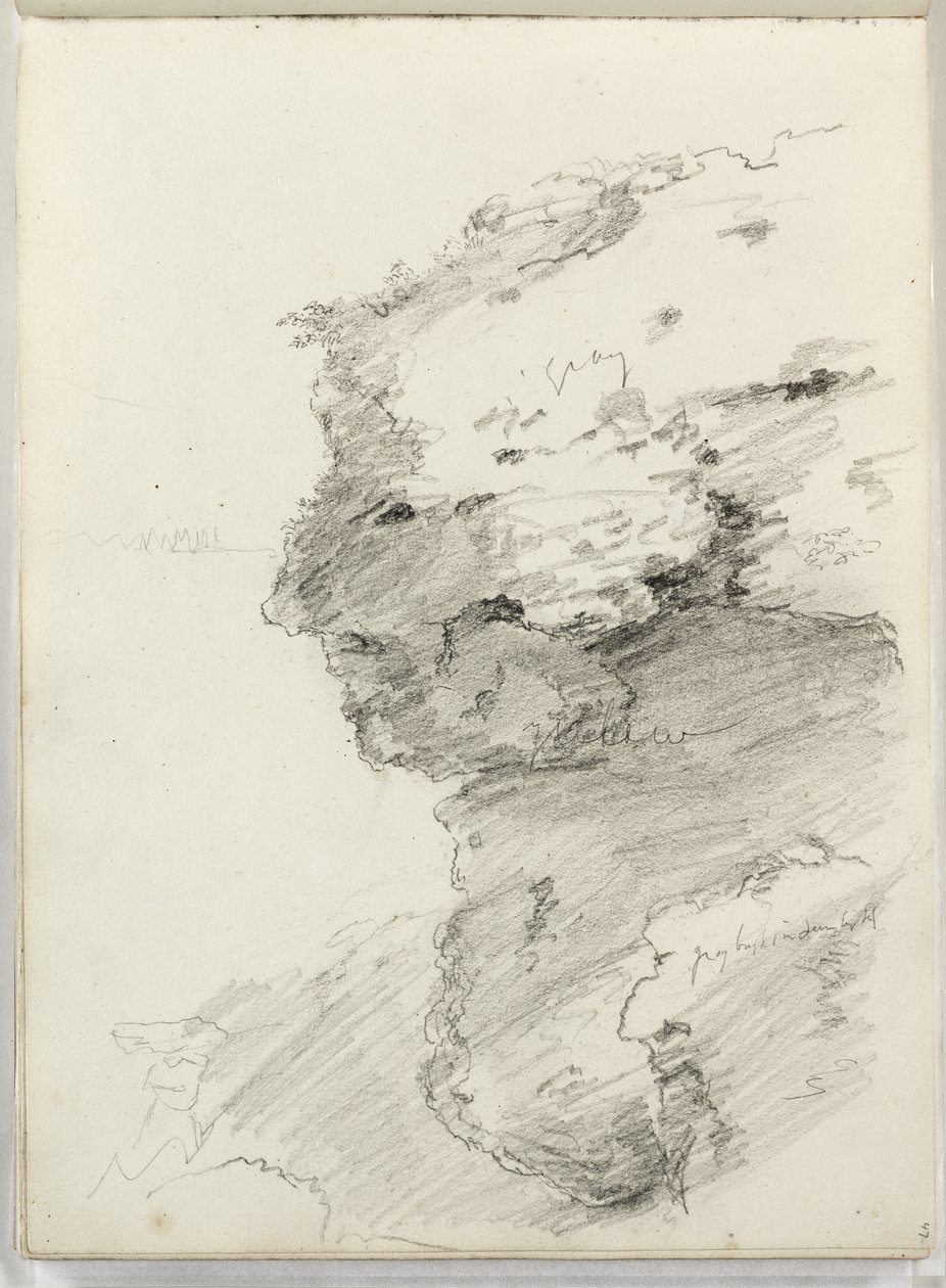Bez tytułu (detal klifu z liśćmi) 1831 (ołówek na papierze) autorstwa Thomas Cole